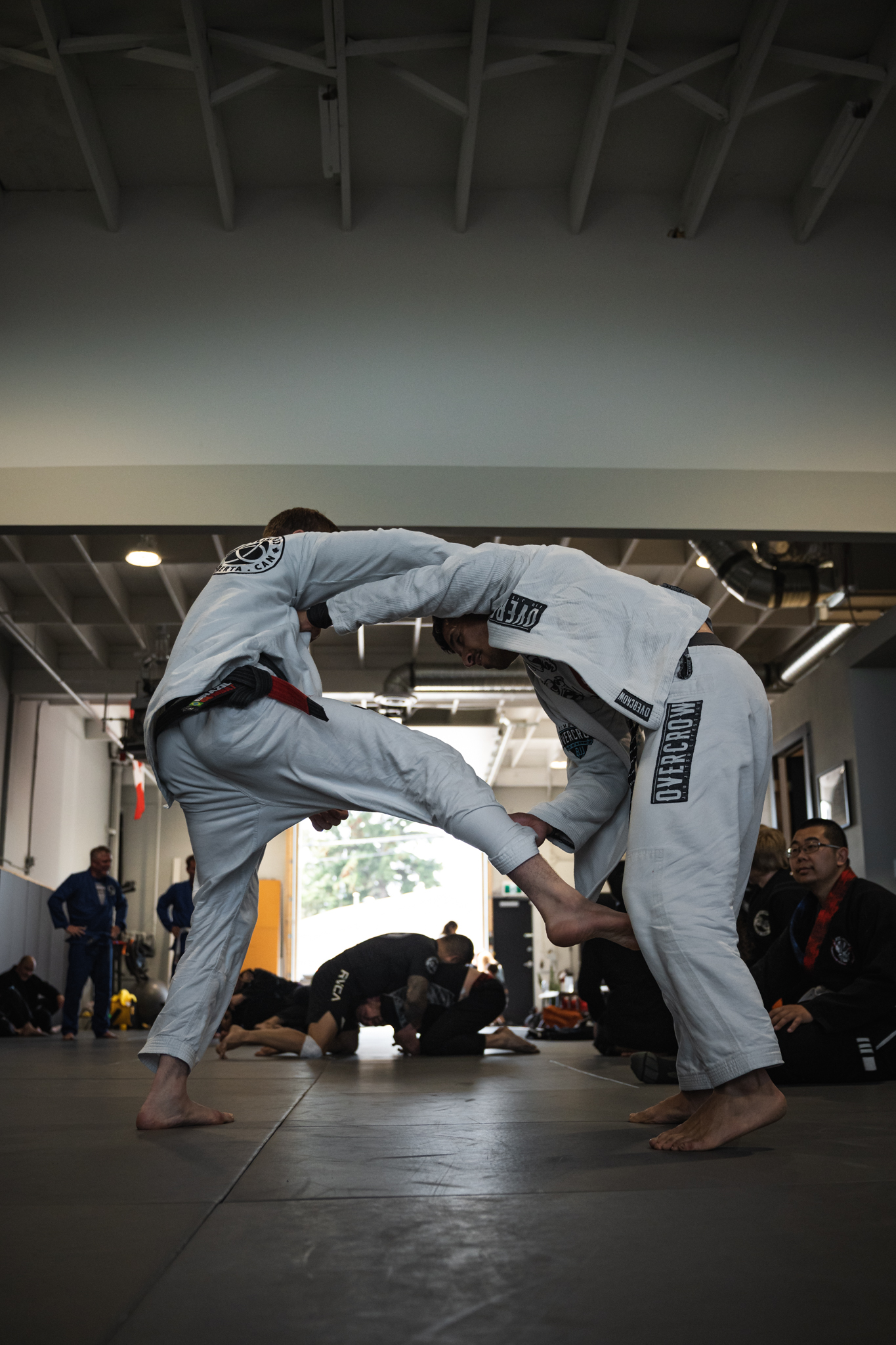 Welcoming beginner class at Carlson Gracie Calgary